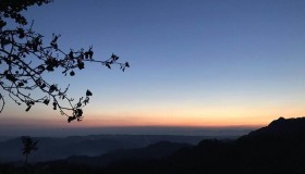 奶奶的生日 奶奶的生日