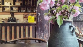 清明节游阆中 清明节游阆中