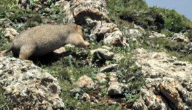 2024年暑假青甘蒙三省之旅 2024年暑假青甘蒙三省之旅