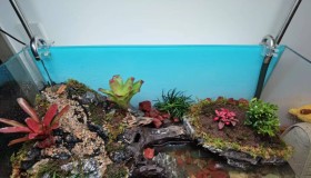 再一次走在折腾的路上 再一次走在折腾的路上