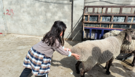 2024国庆之:喀什游记 2024国庆之:喀什游记