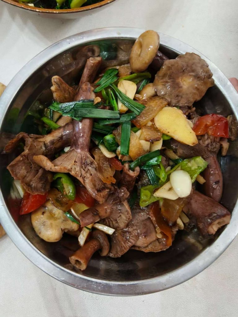 野生菌真是大自然的绝佳馈赠